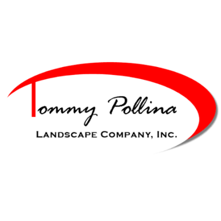 Tommy Pollina